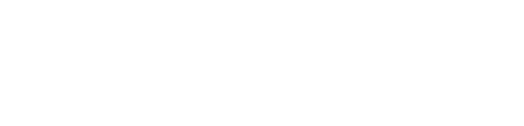 rub-de-a1-logo-weiss